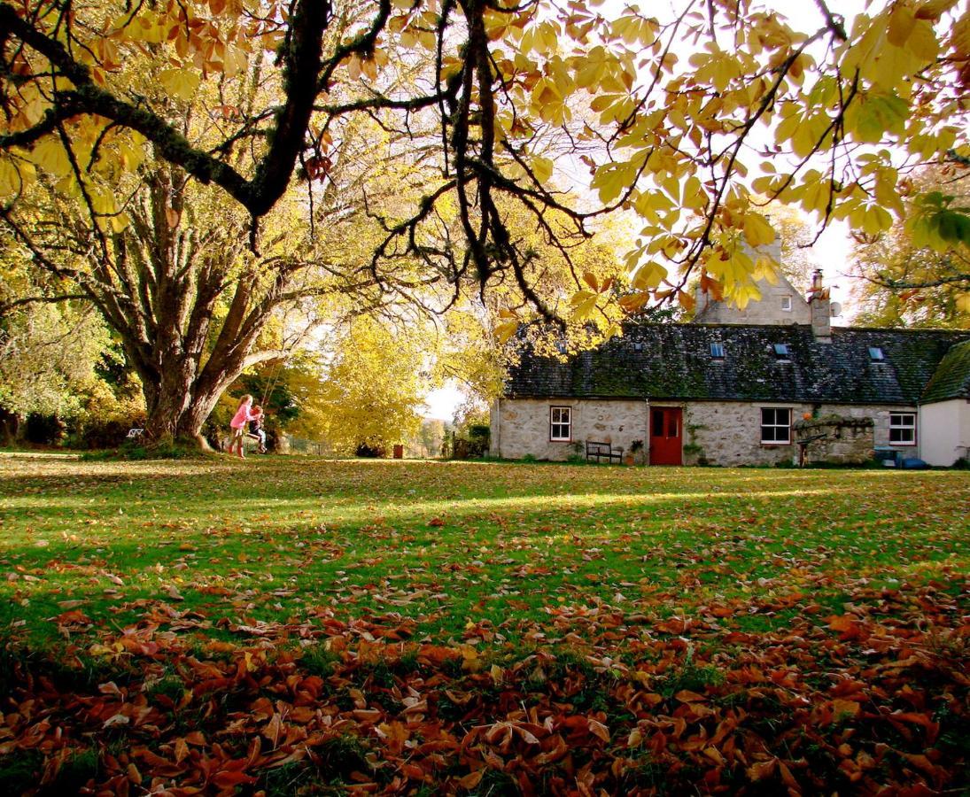 네시브리지 The Dell Of Abernethy - A Woodland Hideaway 아파트 외부 사진