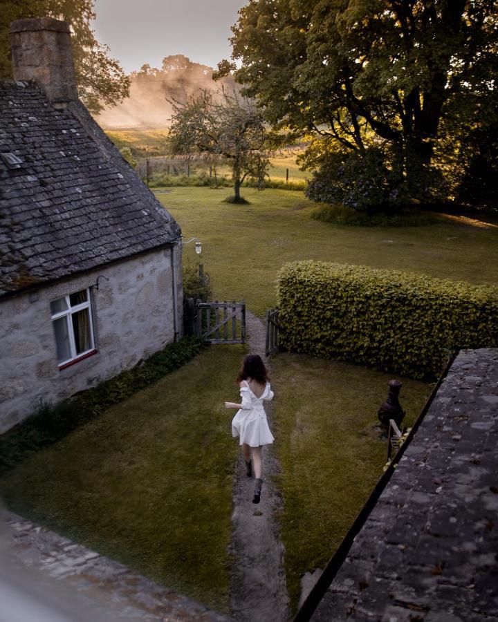 네시브리지 The Dell Of Abernethy - A Woodland Hideaway 아파트 외부 사진